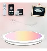 Amazon.co.jp : Kazvincita LED 音楽シーリングライト alexa対応 14畳